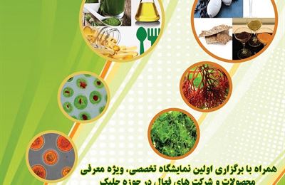 نخستین نمایشگاه تخصصی شیلات و صنایع وابسته در استان بوشهر برگزار می شود 